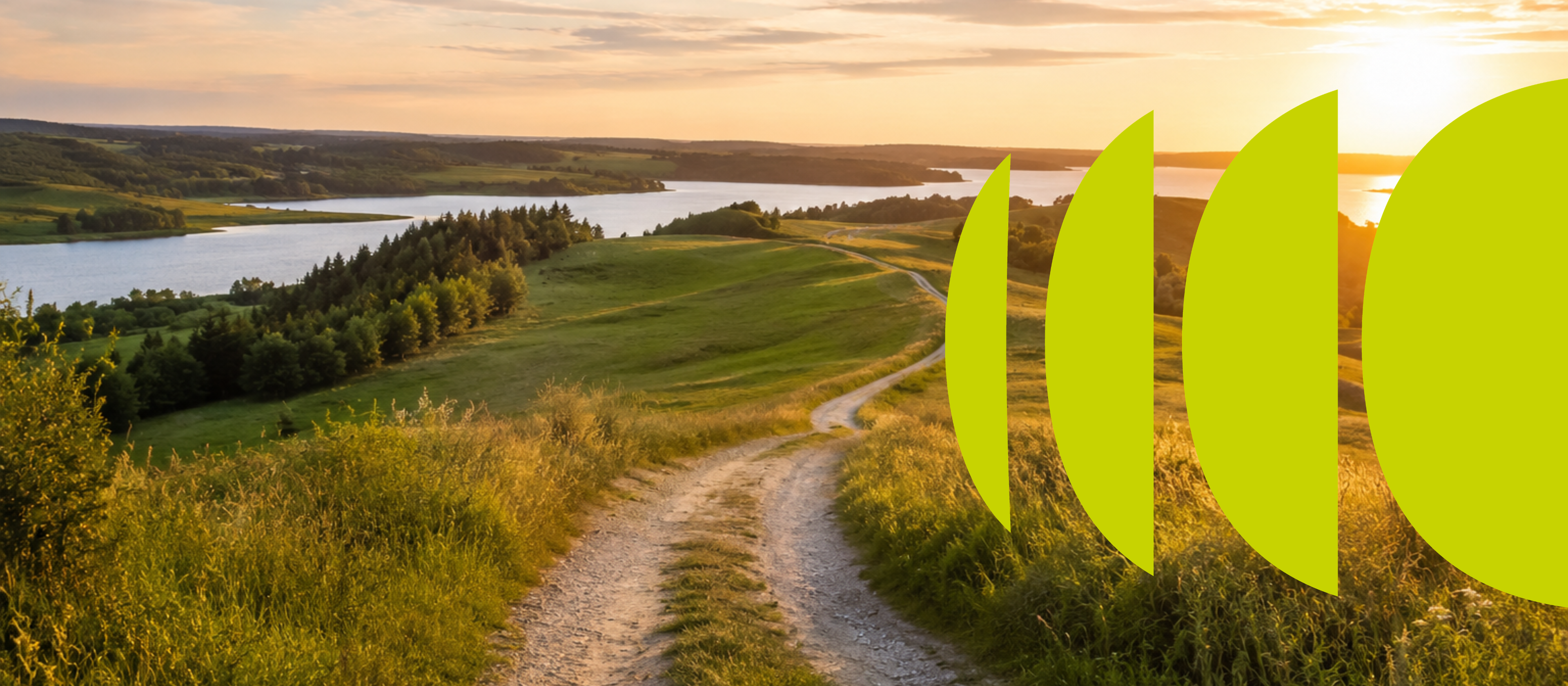 Billig fiber: Find den rette internetudbyder