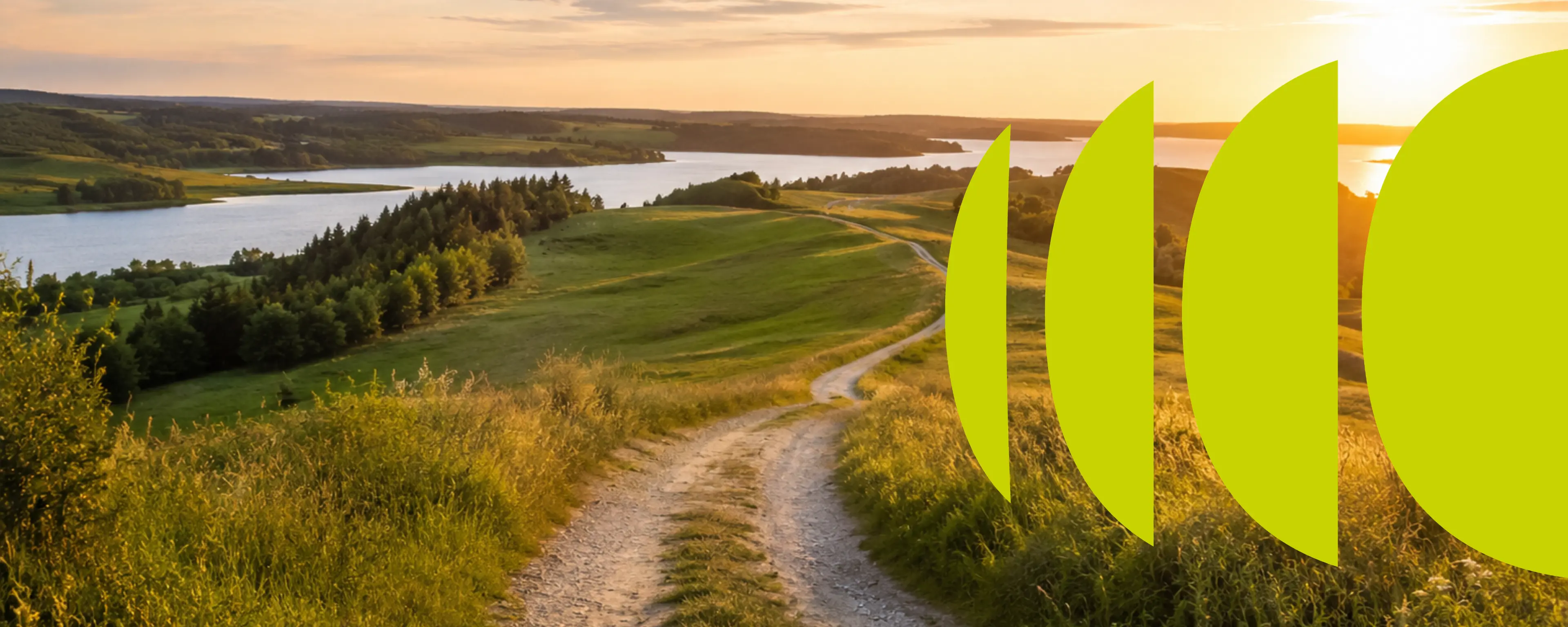 Billig fiber: Find den rette internetudbyder
